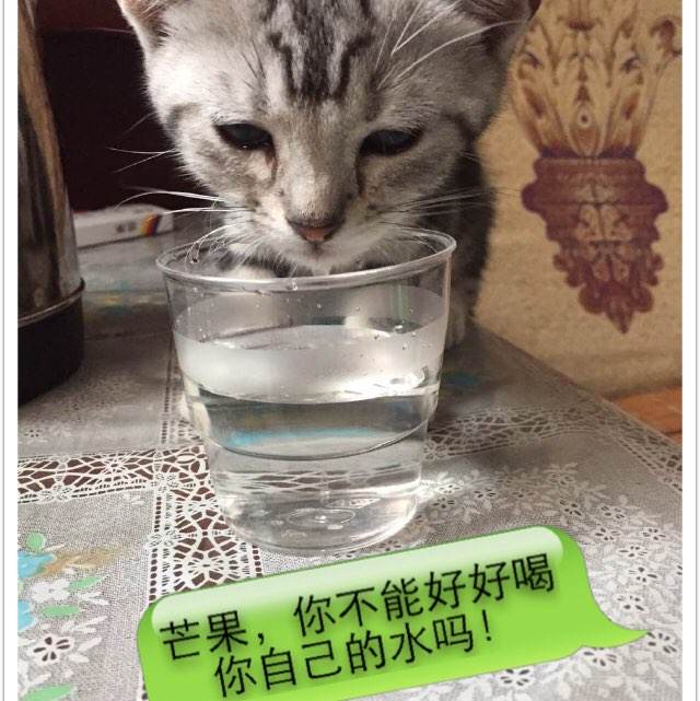 乌得勒支天主教大学 Hotel management diploma